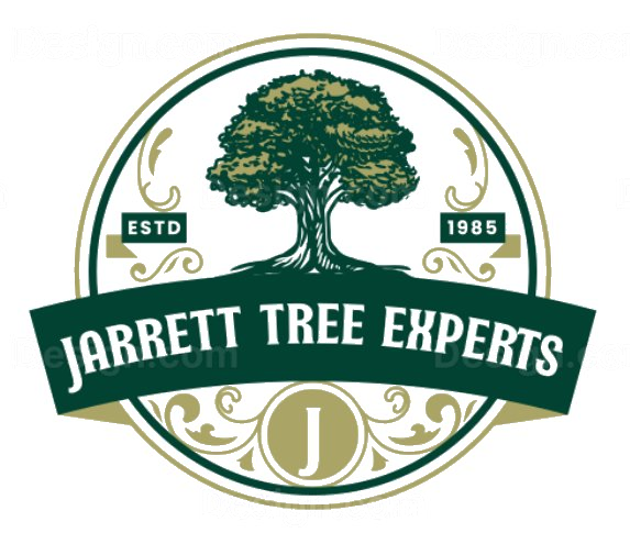Jarrett Tree Experts &mdash; Est. 1985