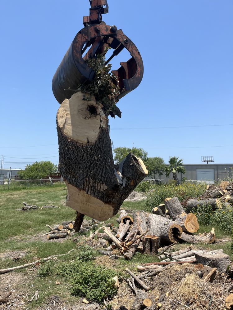 Jarrett grapple lifting a large tree section during a removal