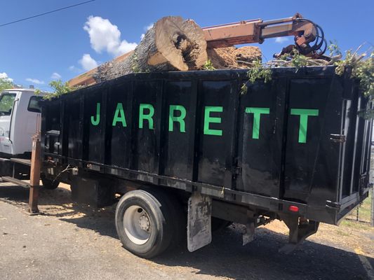Jarrett dump truck loaded with a large tree log