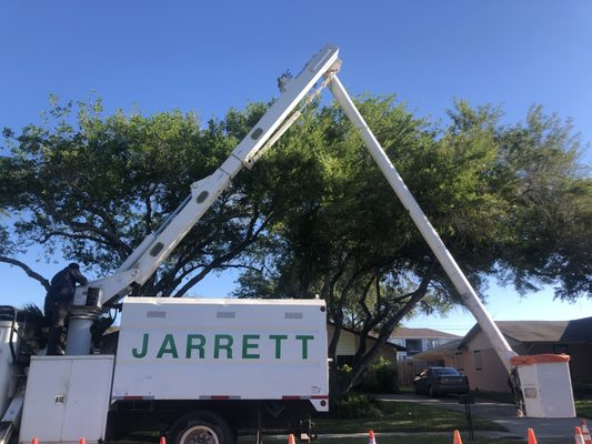 Jarrett bucket truck crew servicing a residential live oak